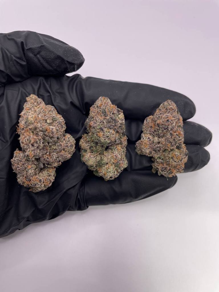 galactic_wareheads_pic