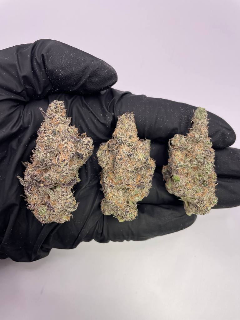 classified_oasis_pic