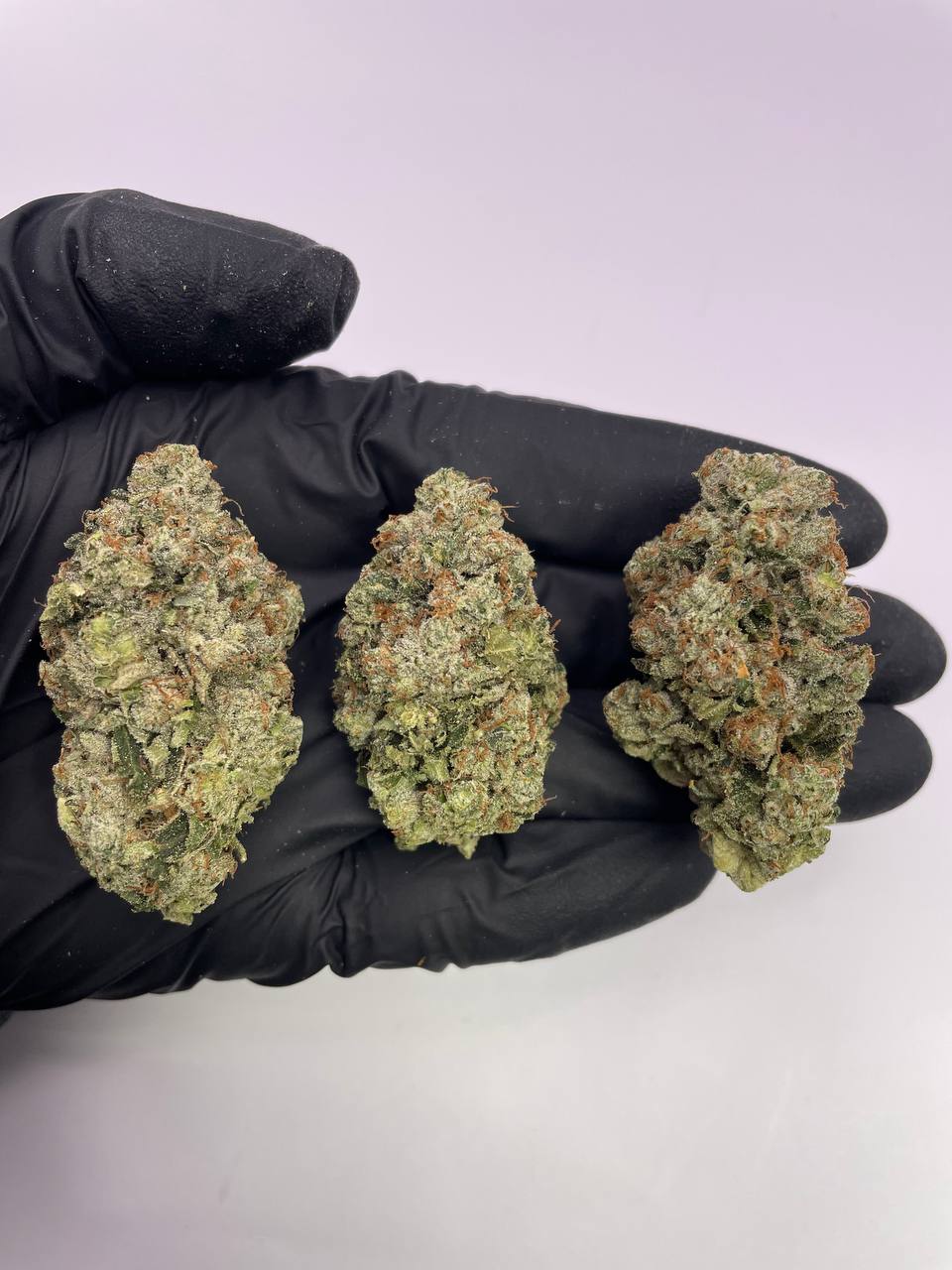 phantom_realm_og_pic