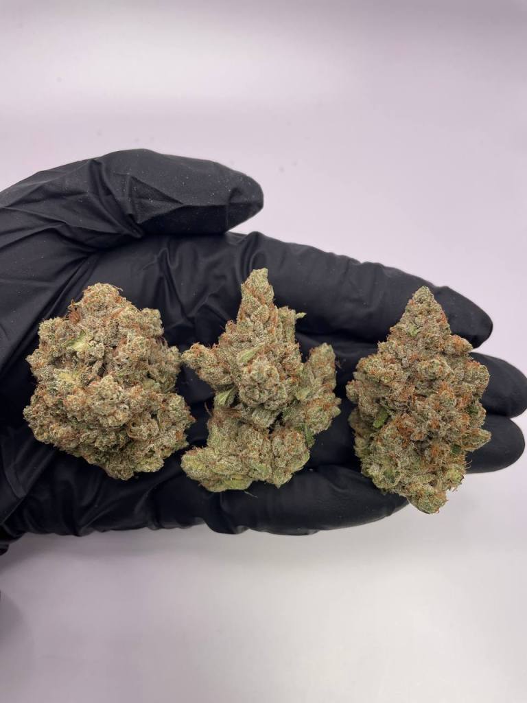 ckf_king_mamba_og_pic